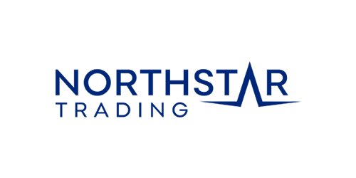 Logo displaying the words "NORTHSTAR TRADING" in blue capital letters on a white background, with the letter "A" in "NORTHSTAR" stylized to resemble a star. Inspired by the vibrant spirit of Toronto, this design could shine just as brightly on your WordPress hosting site.